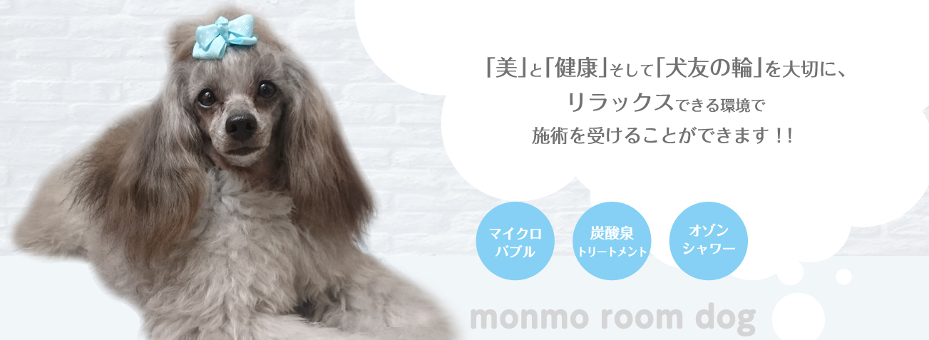 monmo・room dog