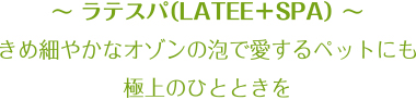 ～ ラテスパ（LATEE＋SPA） ～